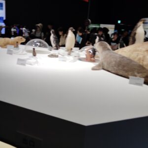 大南極展の生き物エリアの体験展示