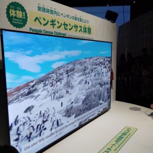 大南極展でペンギンの数を数える体験展示